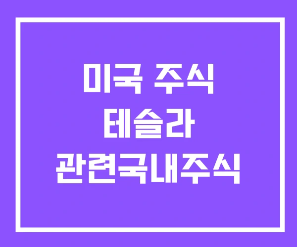 미국 주식 테슬라 관련국내주식