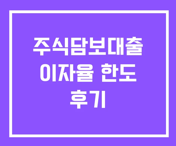 주식담보대출 이자율 한도 후기 주식담보대출 이자율 한도 후기