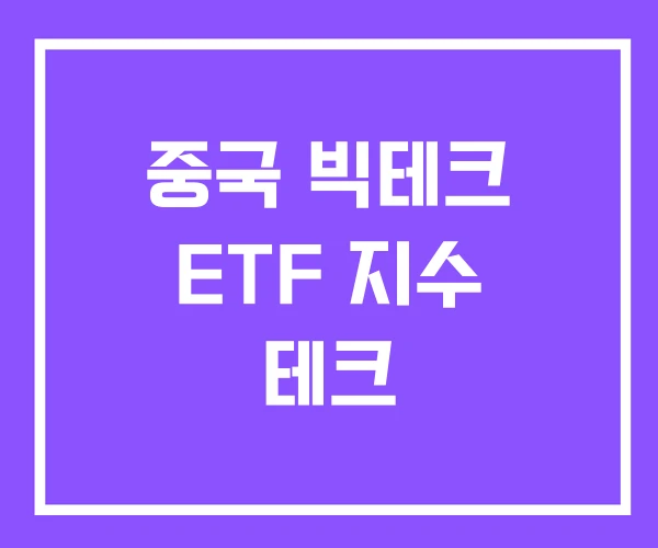 중국 빅테크 ETF 지수 테크 중국 빅테크 ETF 지수 테크