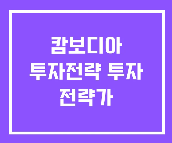 캄보디아 투자전략 투자 전략가