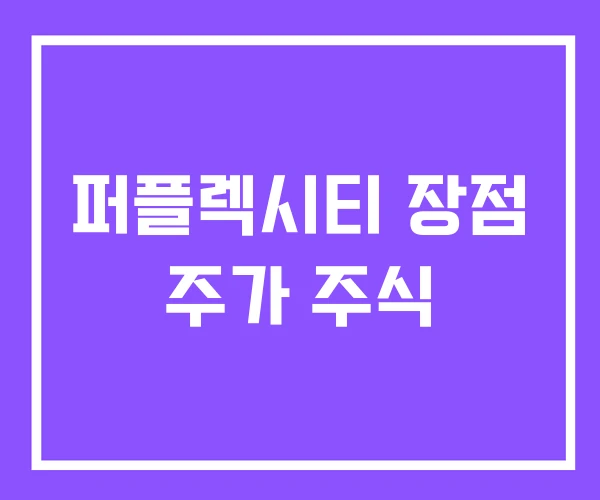 퍼플렉시티 장점 주가 주식 퍼플렉시티 장점 주가 주식