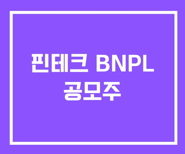 핀테크 BNPL 공모주 핀테크 BNPL 공모주