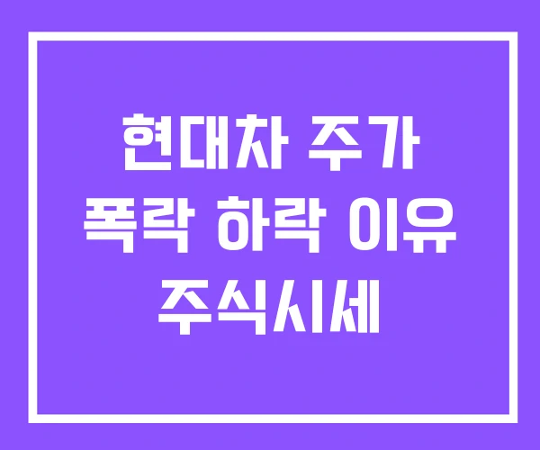 현대차 주가 폭락 하락 이유 주식시세 현대차 주가 폭락 하락 이유 주식시세