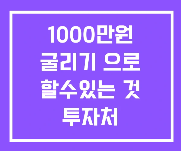 1000만원 굴리기 으로 할수있는 것 투자처