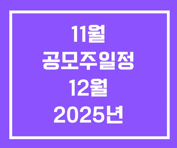 11월 공모주일정 12월 2025년 공모주 청약일정