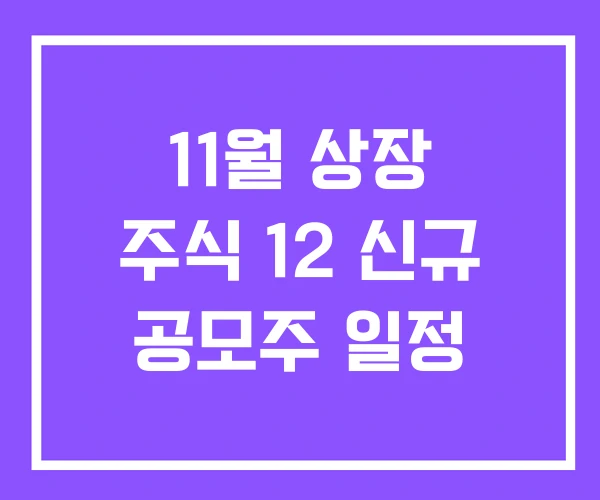 11월 상장 주식 12 신규 공모주 일정