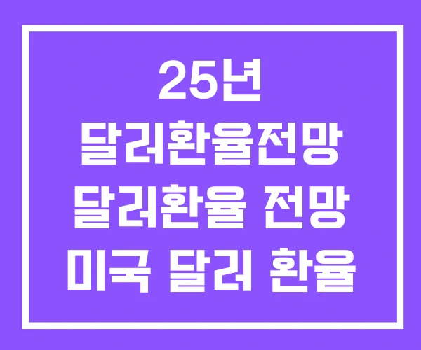 25년 달러환율전망 달러환율 전망 미국 달러 환율 25년 달러환율전망 달러환율 전망 미국 달러 환율