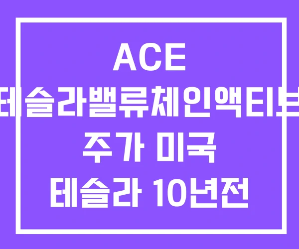 ACE 테슬라밸류체인액티브 주가 미국 테슬라 10년전 ACE 테슬라밸류체인액티브 주가 미국 테슬라 10년전