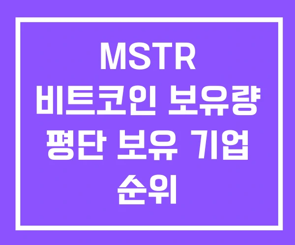 MSTR 비트코인 보유량 평단 보유 기업 순위 MSTR 비트코인 보유량 평단 보유 기업 순위