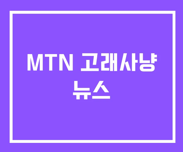 MTN 고래사냥 뉴스 MTN 고래사냥 뉴스