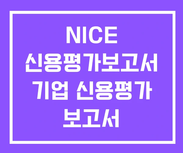 NICE 신용평가보고서 기업 신용평가 보고서