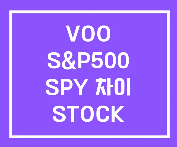 VOO S&P500 SPY 차이 STOCK
