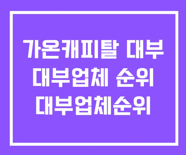 가온캐피탈 대부 대부업체 순위 대부업체순위 가온캐피탈 대부 대부업체 순위 대부업체순위